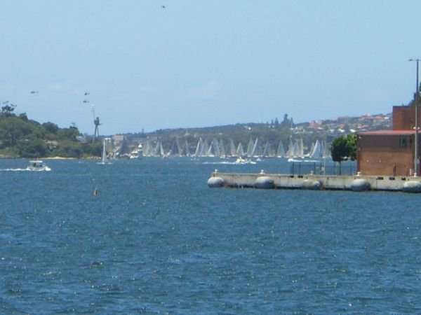 Sydney to Hobart Race