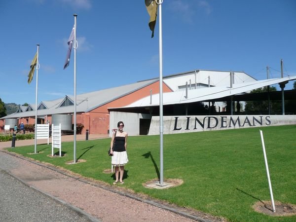 Lindermans Winery