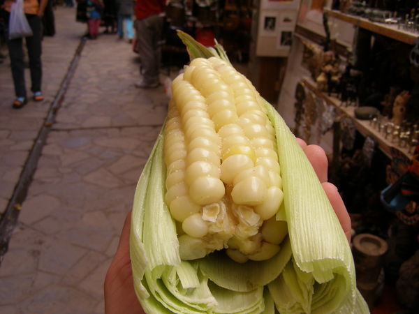 Maize with Monstrous Kernels
