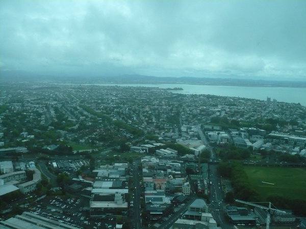 auckland from tower