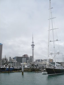 Auckland cruise
