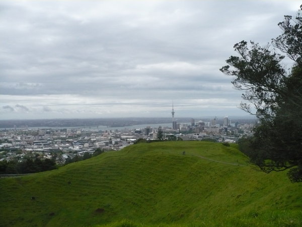 Auckland sights while on Explorer bus