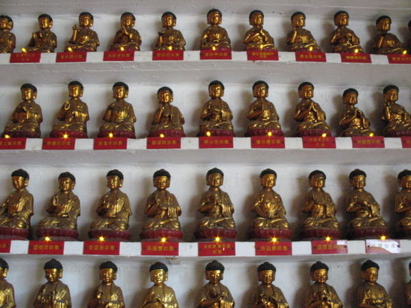 Some of the many Buddhas