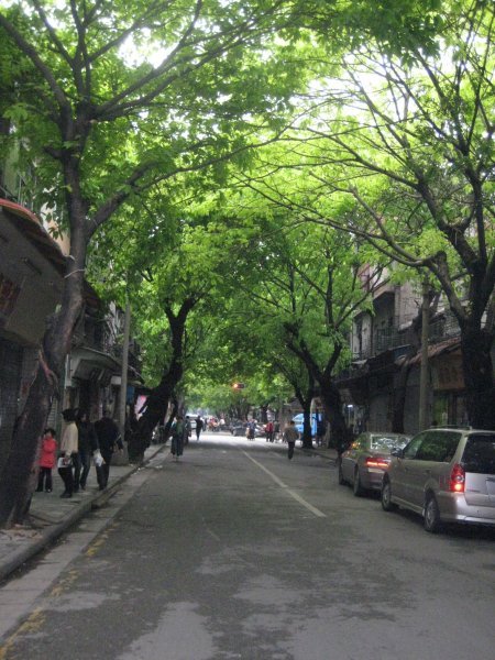 Guangzhou has green trees!! More than HK!