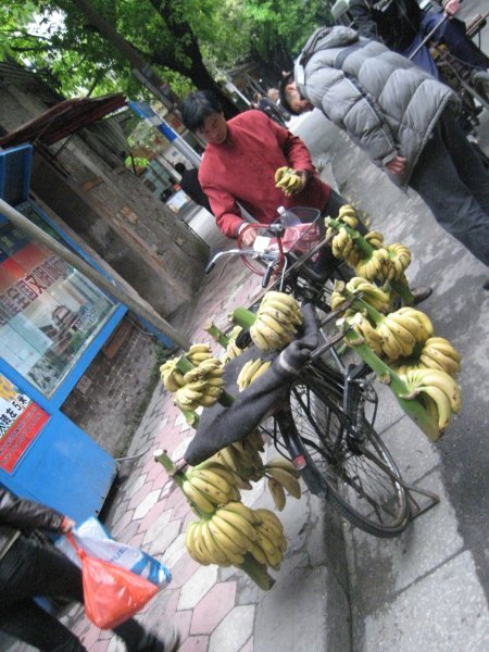 Bananas for sale on a bicycle