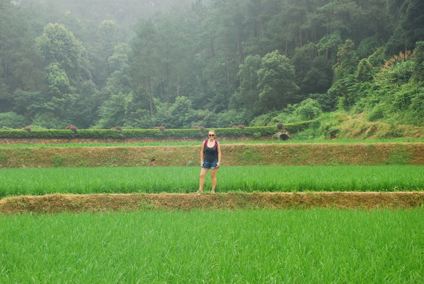 Me in the paddy fields