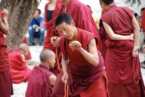 Debating monks at the Sera Monastery