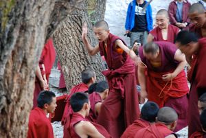 Debating monks at the Sera Monastery