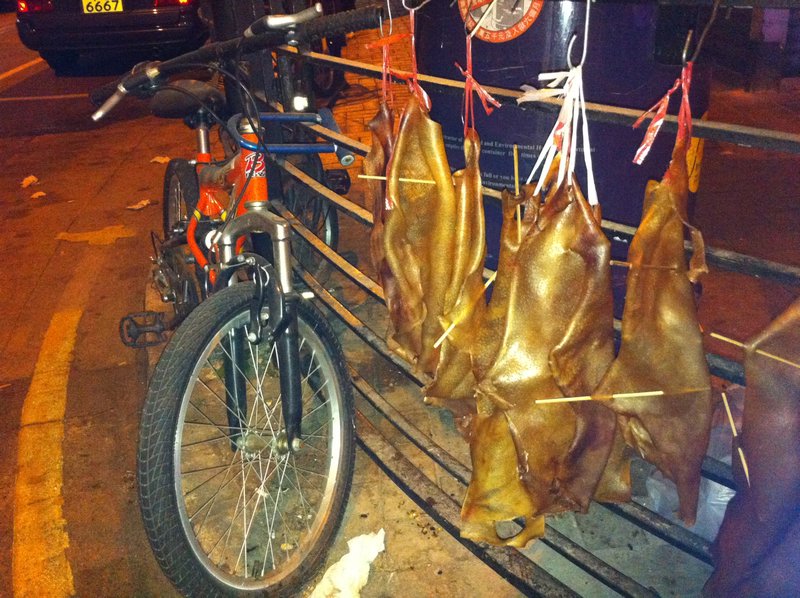 Strange skins hanging out to dry at 3am in the street