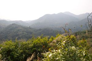 Hiking in the New Territories