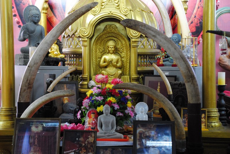 Gangamaraya Temple