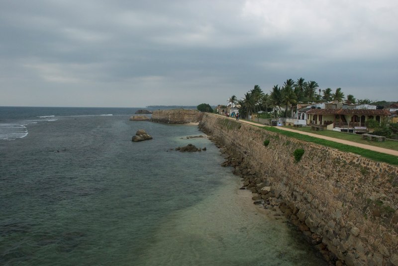 Galle forte