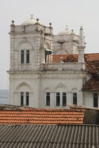 Galle forte
