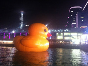 The giant duck in the harbour!