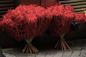 A shop selling only feather dusters