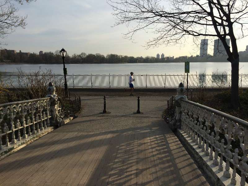 Morning Run in Central Park