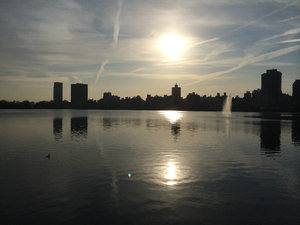 Good morning Central Park