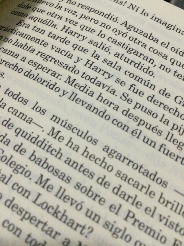 Leyendo (reading)