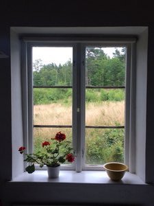 Swedish window views