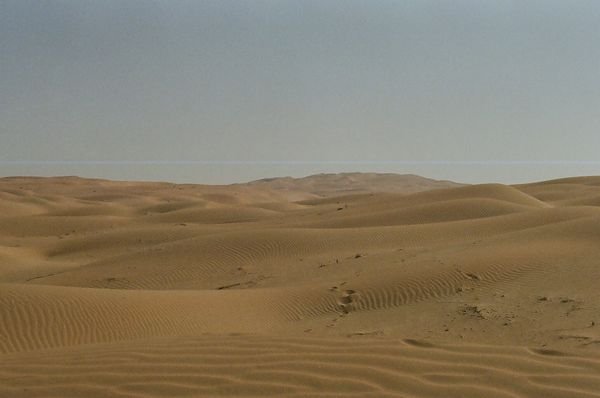 More desert