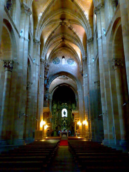 Within one cathedral