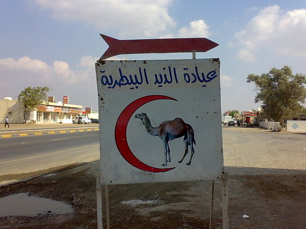 The Camel vet.