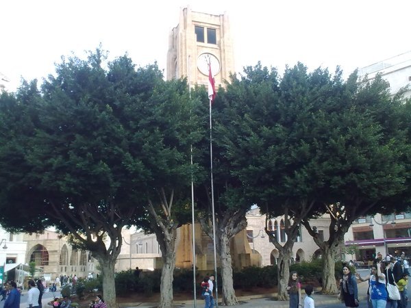 The courtyard and tree's of Beirut