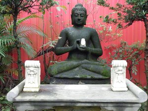 Buddha in contrast