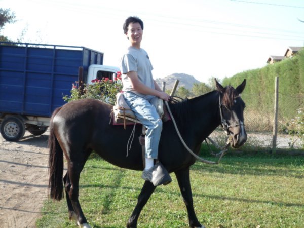 Sabbath Afternoon Horse Ride