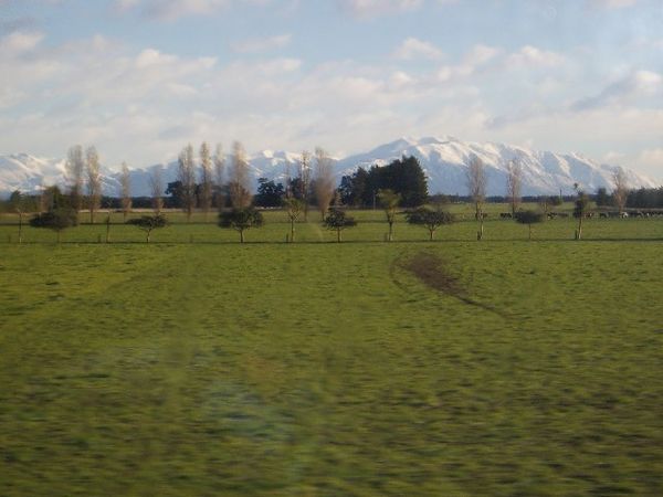 The Southern Alps...