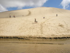 Sandboarding the massive sand dunes of the North Cape