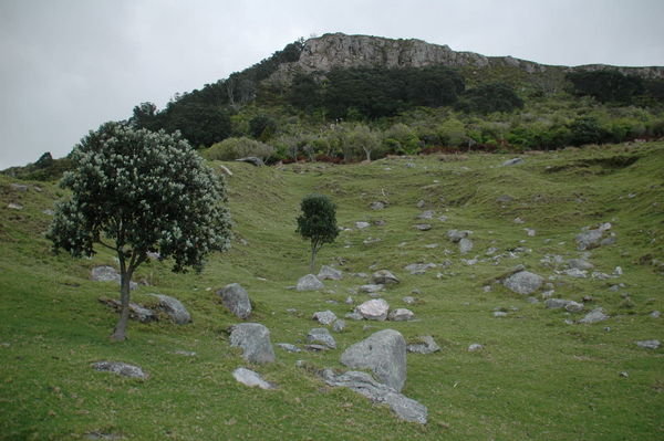 At the Foot of The Mount