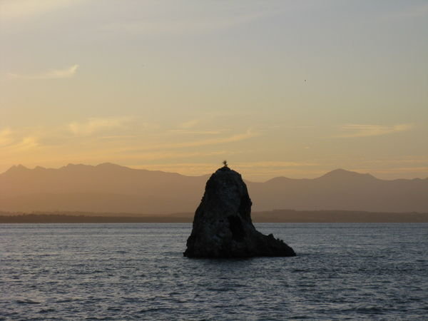 Arrow Rock, Tasman Bay, Nelson