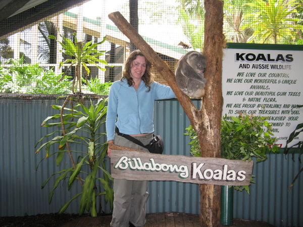 Koala Patting