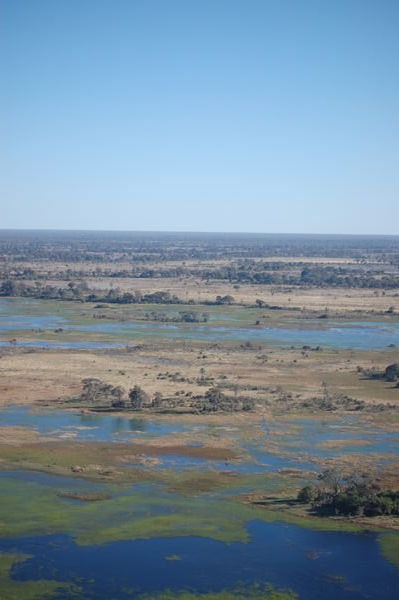Okavango Delta from the Sky