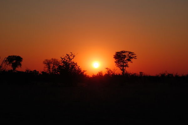 Sunset- Okavango style