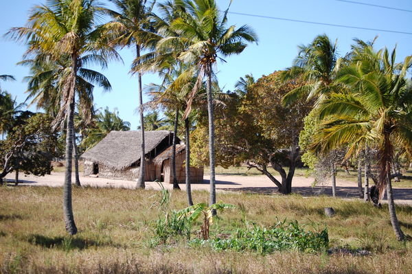 houses on the way to Tofo