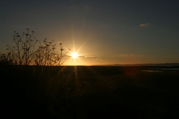 Sunrise in Napier.