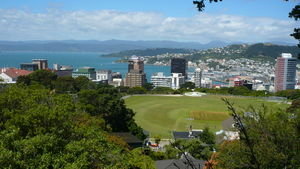 Wellington from the Botanical Gardens