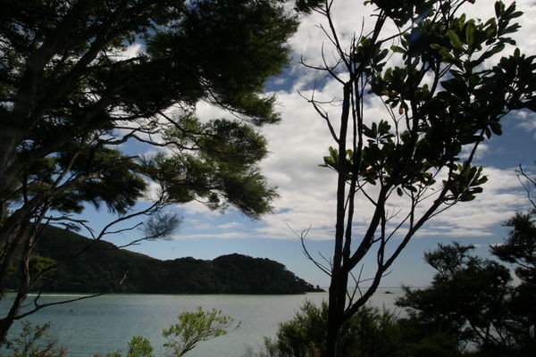 Abel Tasman View