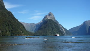 A small ripple on Milford Sound