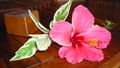 Decorative Fiji Flowers