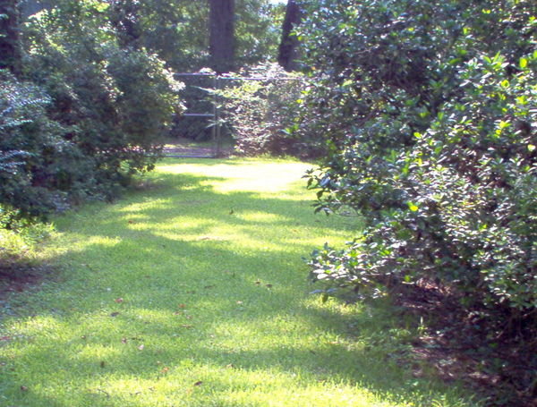 Looking down the back driveway