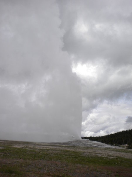 Old Faithful right on time!