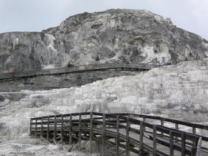 This is a COLOR photo @ Yellowstone N.P.