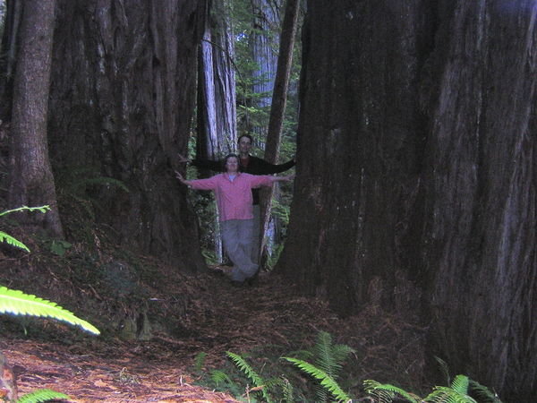 Jim and Susan with Big Redwoods