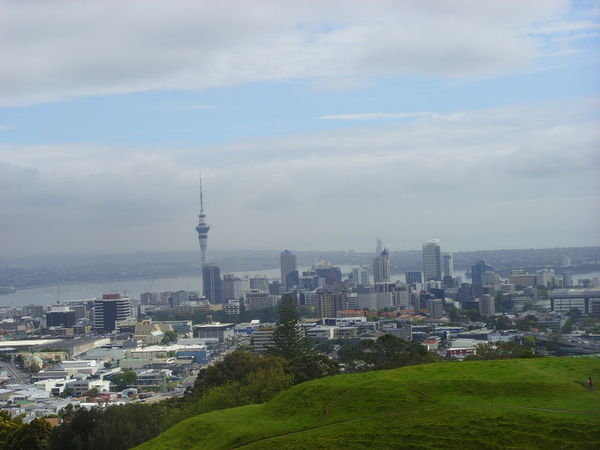 View of Auckland from Mt Eden
