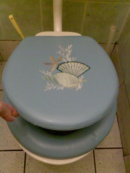 Fancy foam plastic toilet seat Ladies Ireland