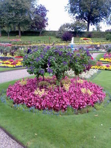 Dingle Gardens Shrewsbury England