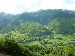 Georgia is very green due to its sub-tropical climate 